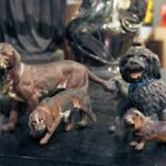 110 3008 HUNDFIGURINER